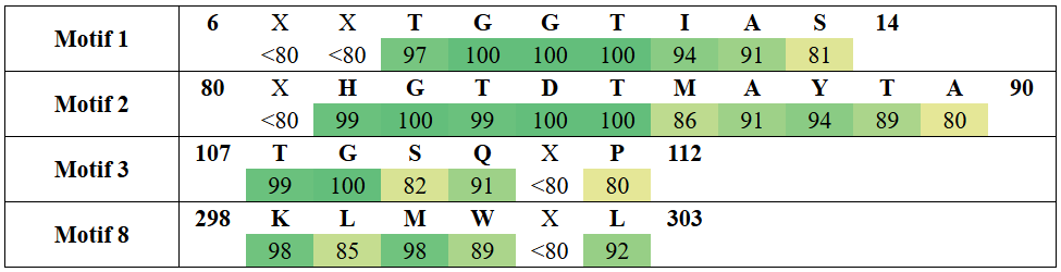 motifs1-11