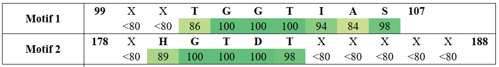 motifs1-12