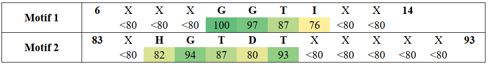 motifs1-13