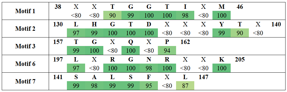 motifs1-15