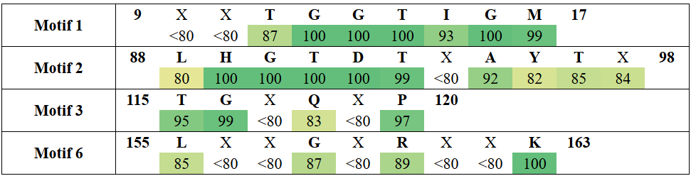 motifs1-16