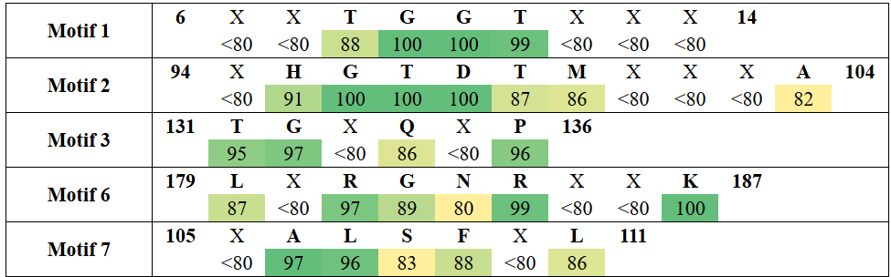 motifs1-17