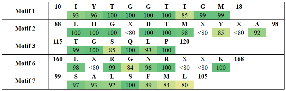motifs1-18