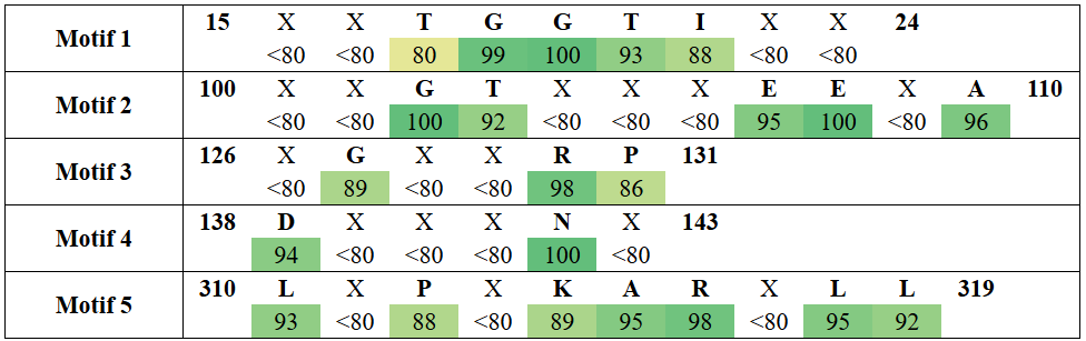 motifs1-2
