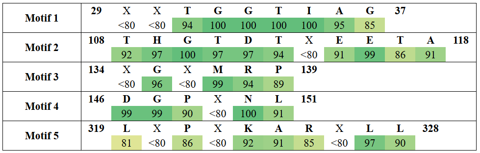 motifs1-3