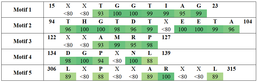 motifs1-4