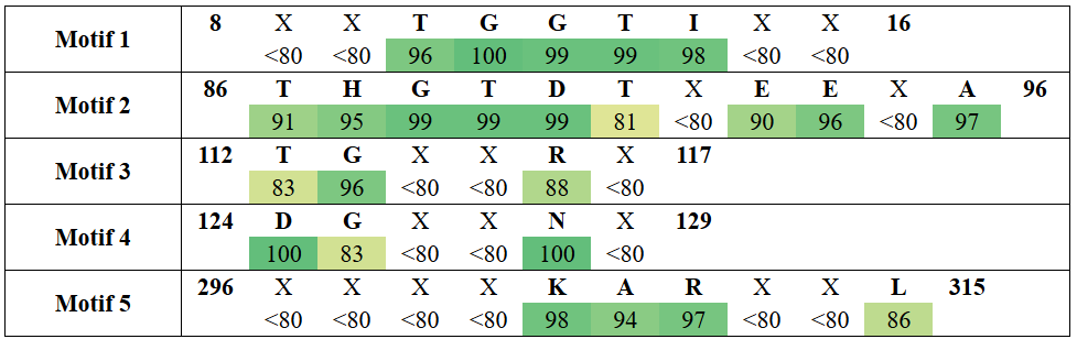 motifs1-5