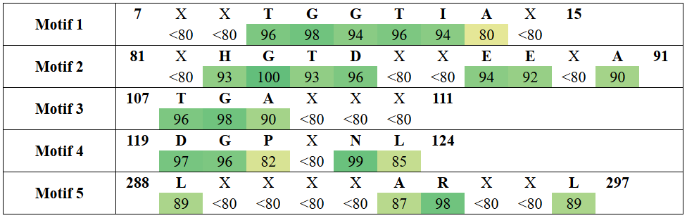 motifs1-6