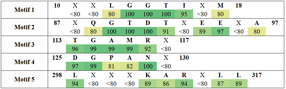motifs1-7