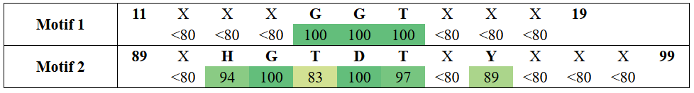 motifs1-9