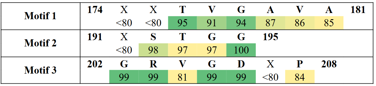 motifs2-10