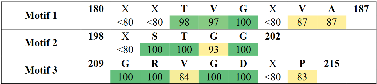 motifs2-11