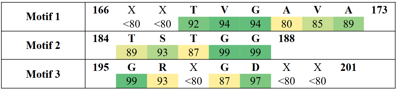 motifs2-12