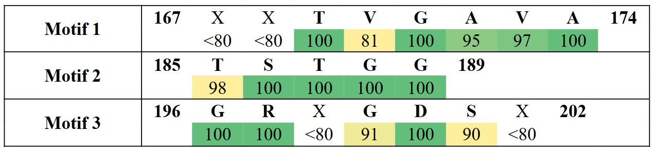 motifs2-13