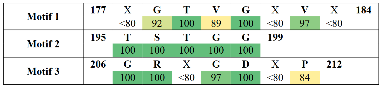 motifs2-14