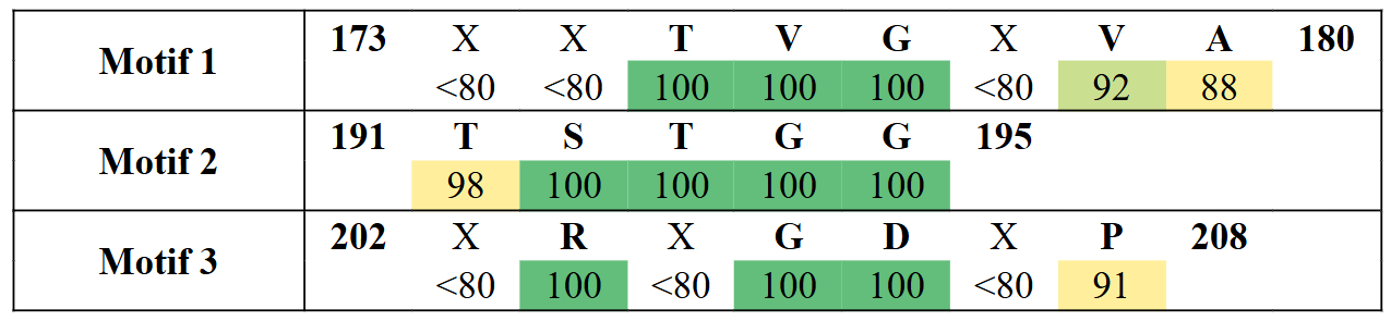 motifs2-15
