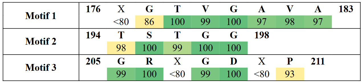 motifs2-17