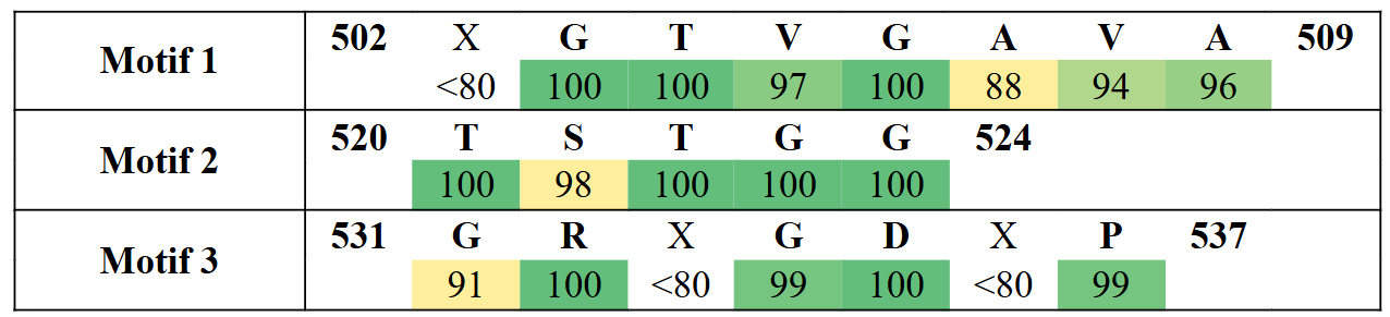 motifs2-18