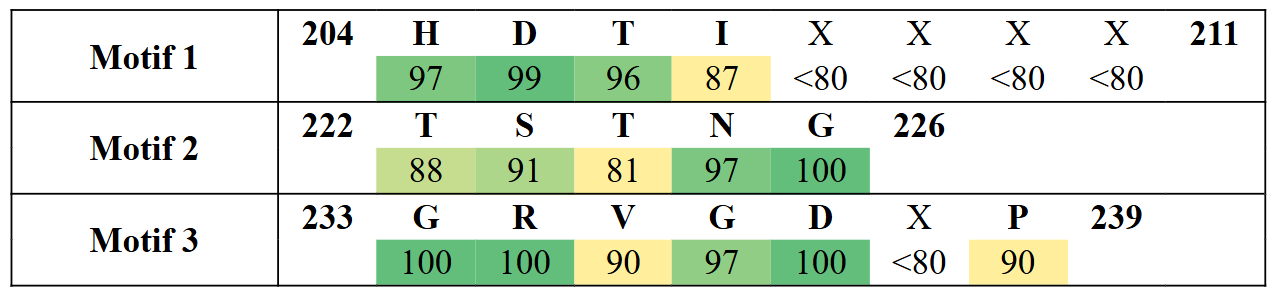 motifs2-2