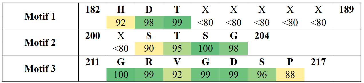 motifs2-3
