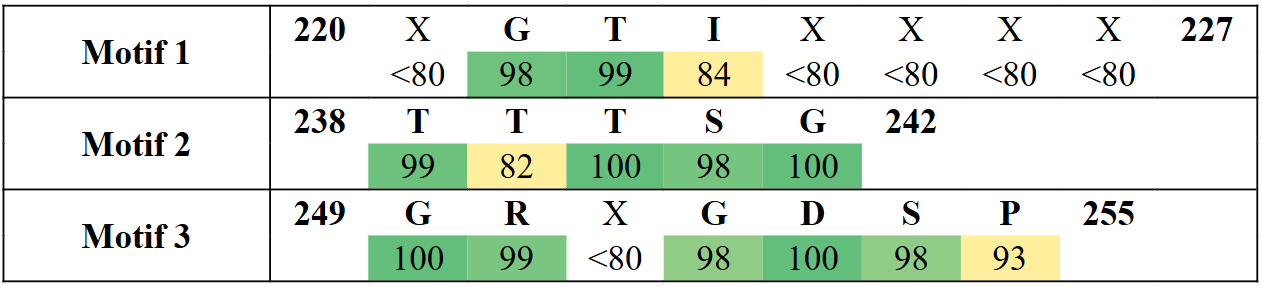 motifs2-4