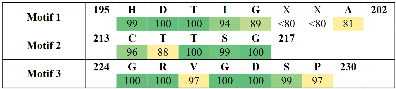 motifs2-5