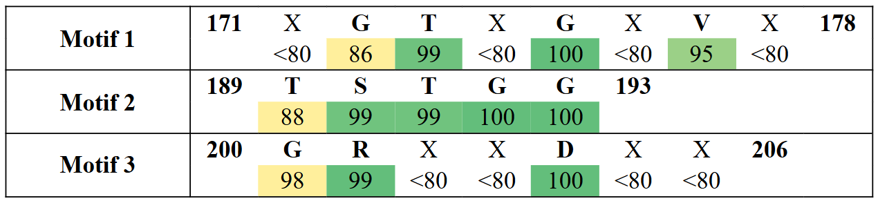 motifs2-6