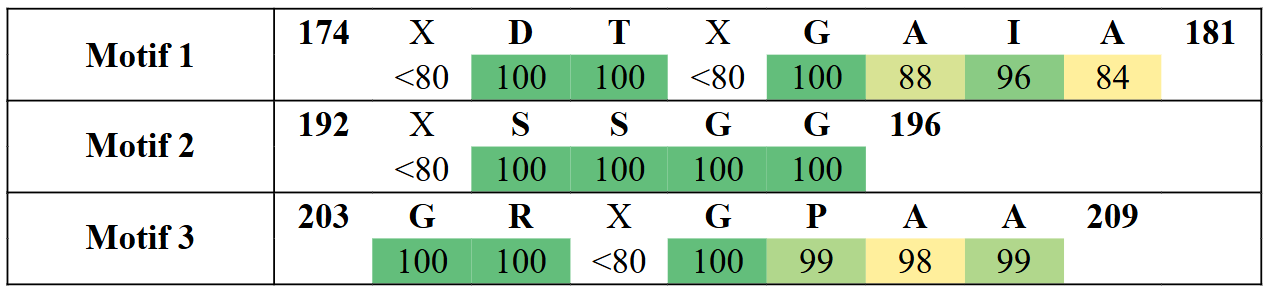 motifs2-7