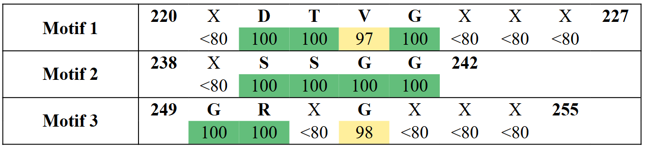 motifs2-8