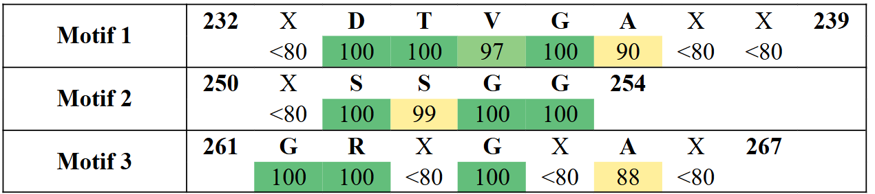 motifs2-9