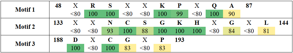 motifs3-1