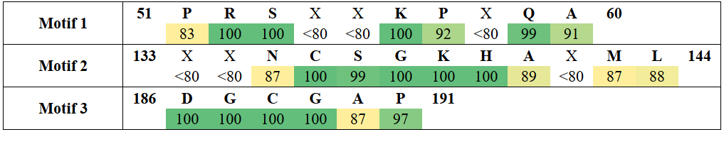 motifs3-2