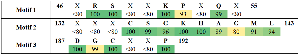 motifs3-3