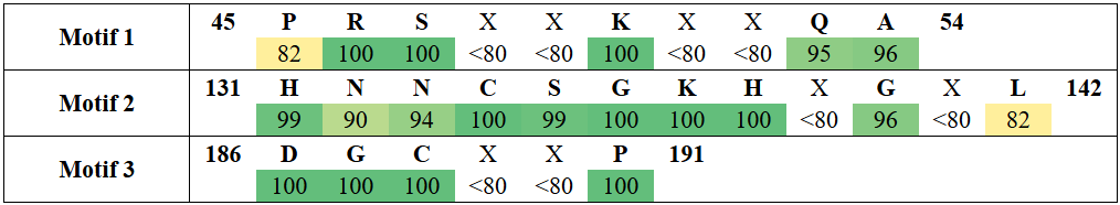 motifs3-4